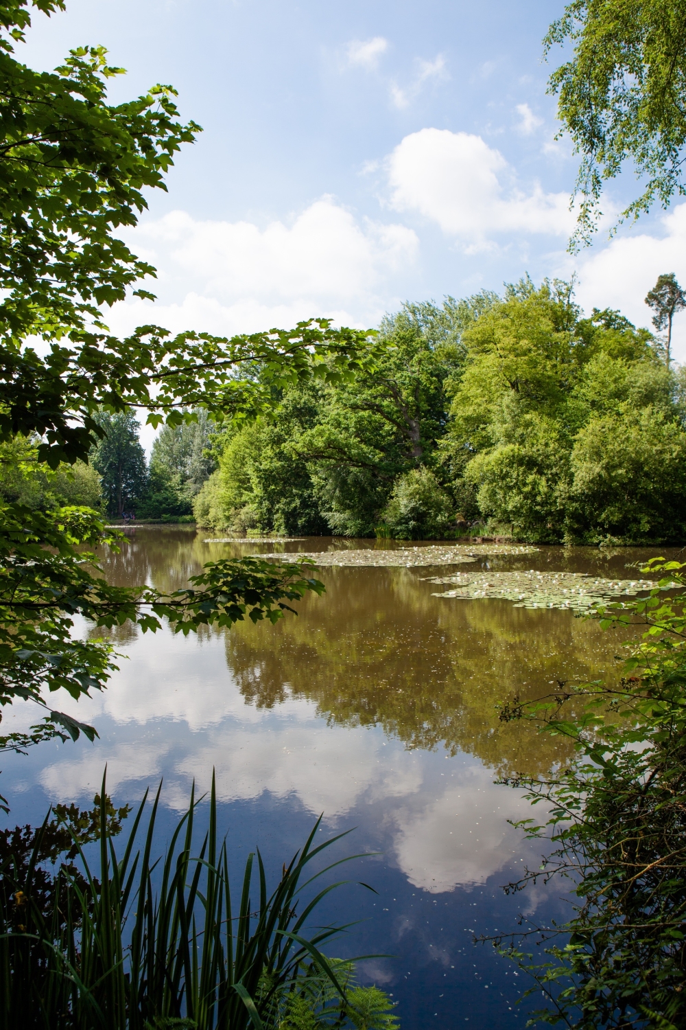 Cranbury Park, nr Winchester, Hampshire, SO21 2HL National Garden Scheme